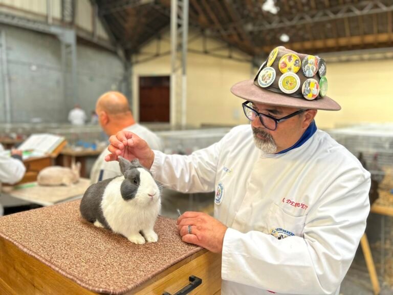 Concours avicole Foire Aux Fromages