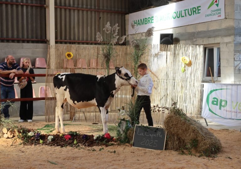 Foire aux Fromages 2025 - La Capelle