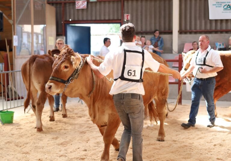 Foire aux Fromages 2025 - La Capelle
