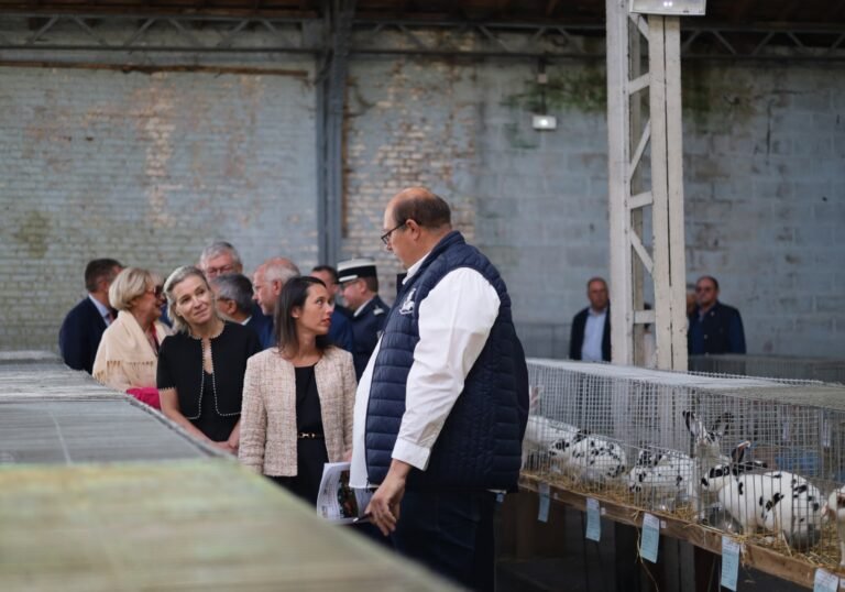 Foire aux Fromages 2025 - La Capelle